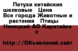 Петухи китайские шелковые › Цена ­ 1 000 - Все города Животные и растения » Птицы   . Ненецкий АО,Каратайка п.